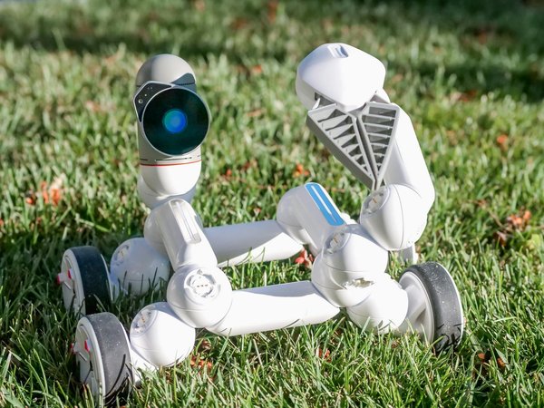 Guide d'outils pour choisir entre sql et nosql efficacement